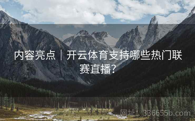 内容亮点|开云体育支持哪些热门联赛直播?