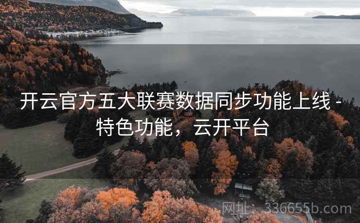 开云官方五大联赛数据同步功能上线 - 特色功能，云开平台  第2张