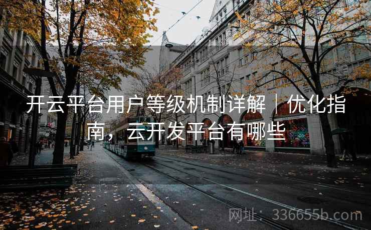 开云平台用户等级机制详解｜优化指南，云开发平台有哪些